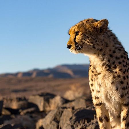 Neuras Wine And Wildlife Estate Hotel Namib-Naukluft National Park Exterior foto