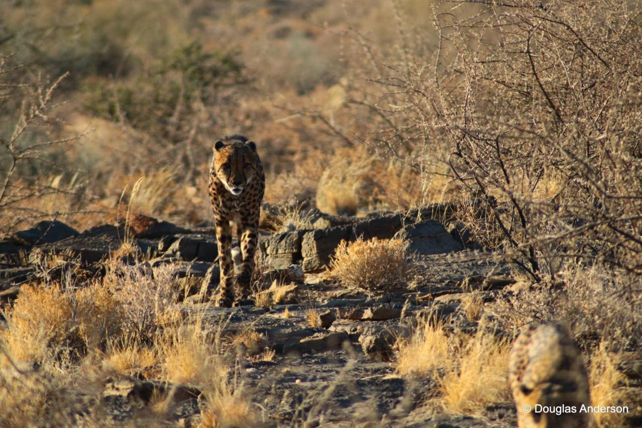 Neuras Wine And Wildlife Estate Hotel Namib-Naukluft National Park Exterior foto