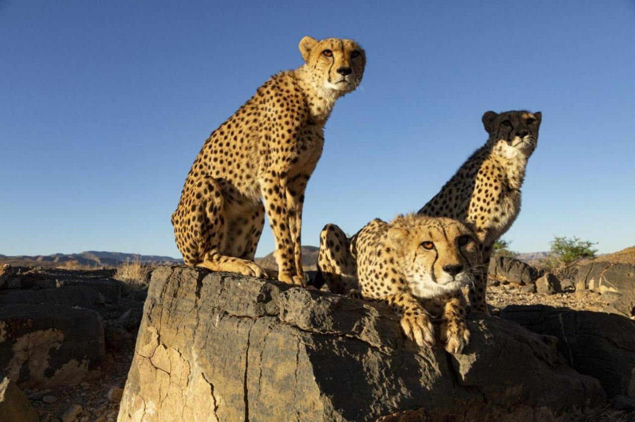 Neuras Wine And Wildlife Estate Hotel Namib-Naukluft National Park Exterior foto