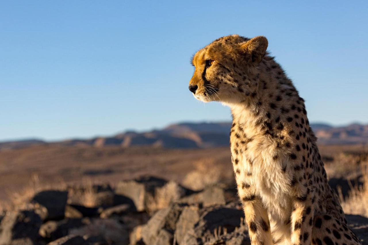 Neuras Wine And Wildlife Estate Hotel Namib-Naukluft National Park Exterior foto