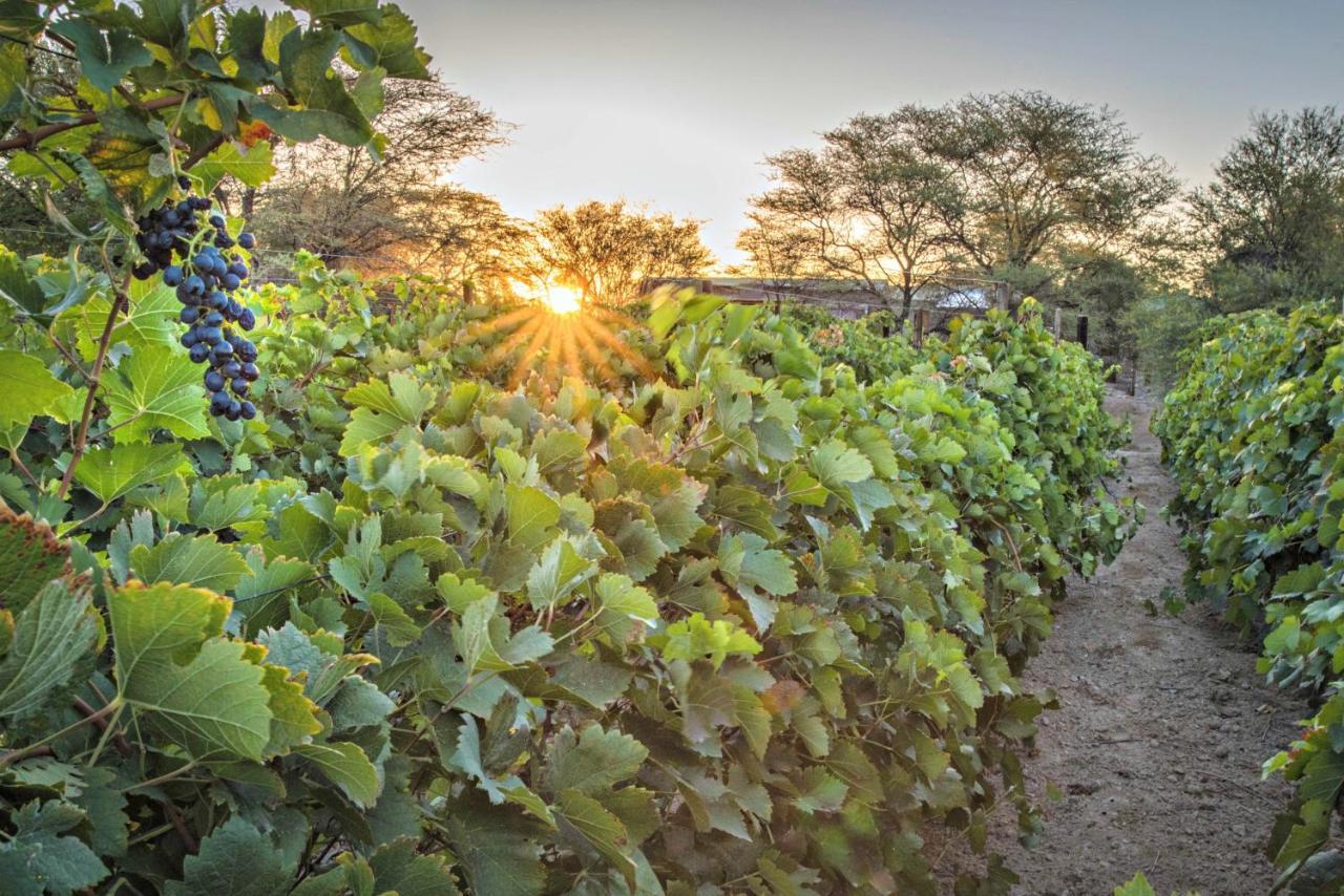 Neuras Wine And Wildlife Estate Hotel Namib-Naukluft National Park Exterior foto