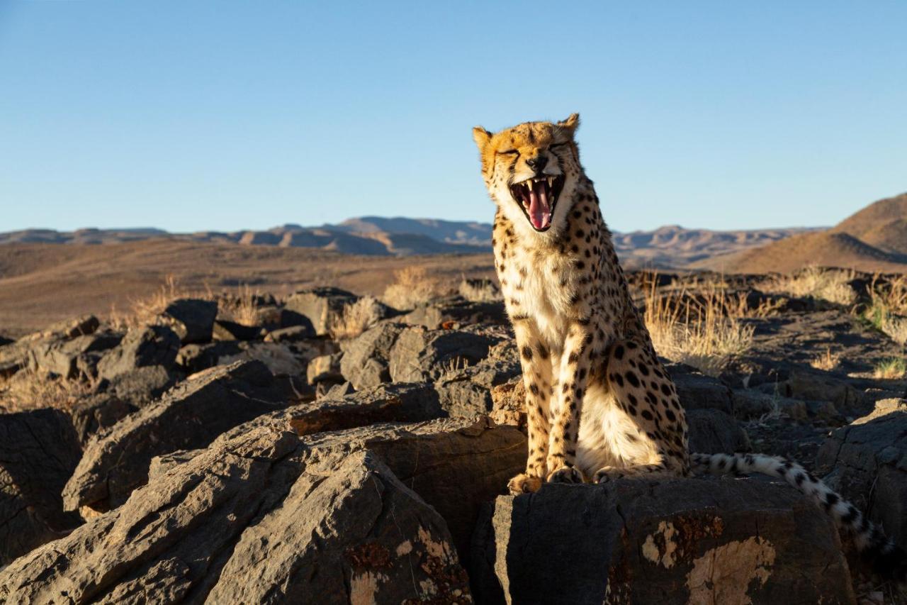 Neuras Wine And Wildlife Estate Hotel Namib-Naukluft National Park Exterior foto