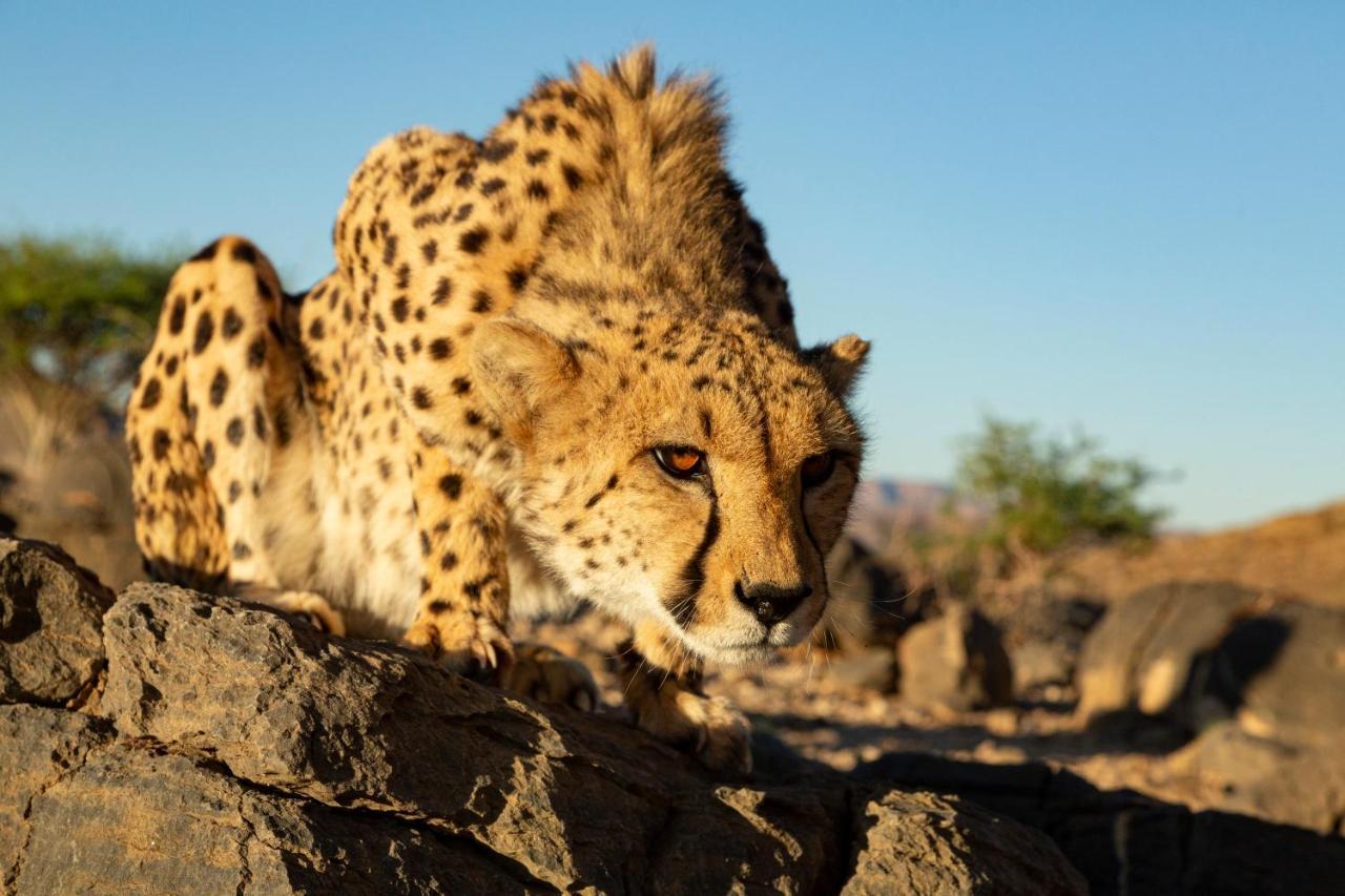 Neuras Wine And Wildlife Estate Hotel Namib-Naukluft National Park Exterior foto